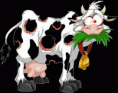 /album/galerie-de-photos-les-vaches/oywq3dse-1-gif/